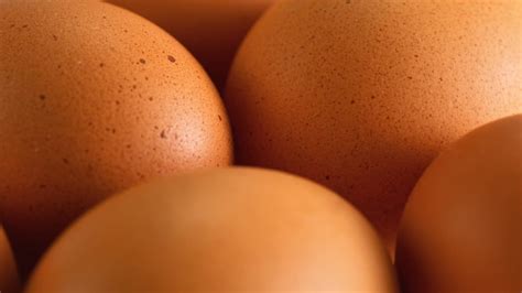 Why Do Eggshells Have Weird Bumps And Spots Mental Floss
