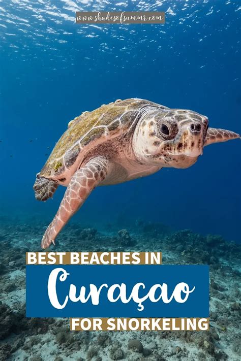 Best Beaches In Curacao Map Hot Sex Picture