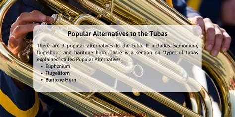 Different Types Of Tubas Explained Things To Know 2023