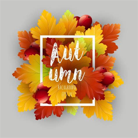 Autumn Leaves Background 6572073 Vector Art At Vecteezy