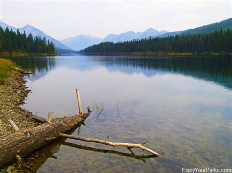 Logging Lake Trail Enjoy Your Parks