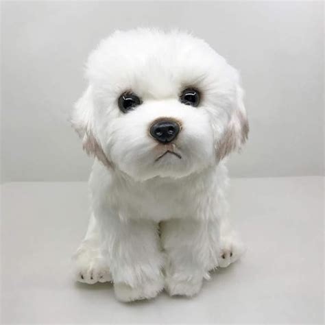 Xinya Soft Toys Lifelike Maltese Dog Maltese Puppy Plush Toy