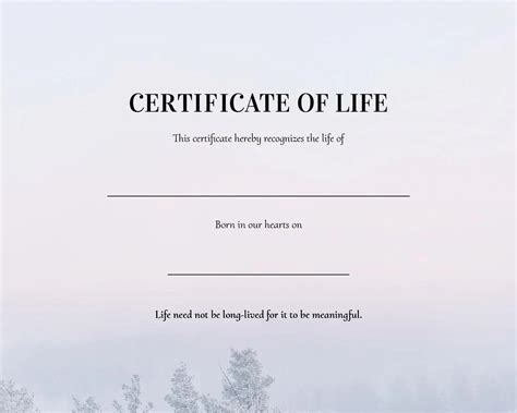 Honoring And Cherishing With Certificates Of Life Myheartcreative