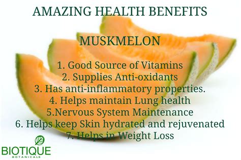 In Fruitfacts Today Health Benefits Of Summer Fruit Muskmelon