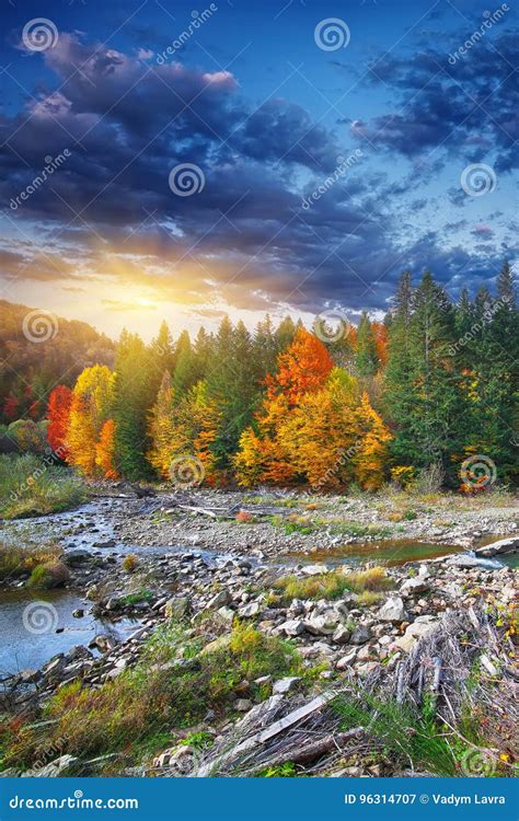 Autumn Creek Woods With Colorfull Trees Foliage And Rocks In For Stock