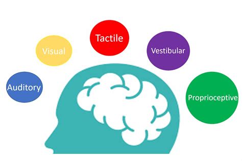 Parents Guide To Sensory Integration And Processing Dta