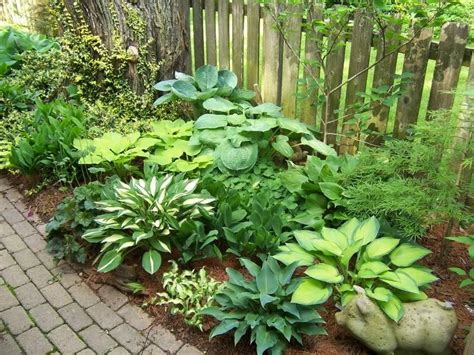 A Variety Of Hostasbeautiful Together Garden Calendar Hosta