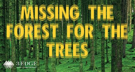 Missing The Forest For The Trees 3edge Asset Management