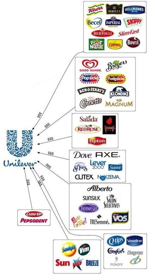 Unilever Branding Infographic Fast Moving Consumer Goods Finance