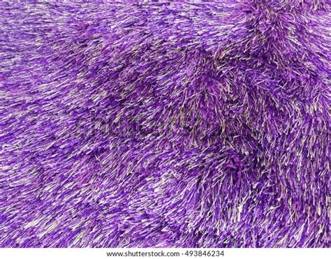 Closeup Purple Carpet Texture Stock Photo 493846234 Shutterstock