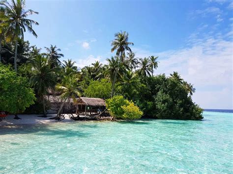 Biyadhoo Island Resort Review And Snorkeling Maldives