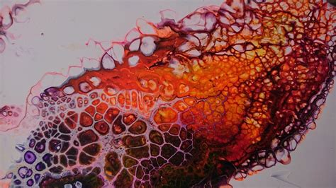 037 Wow Quick And Easy Crazy Cells Fluid Art Flip Cup Drag Acrylic