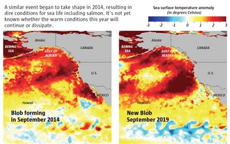 New Marine Heat Wave Resembles Killer ‘blob That Devastated Sea Life