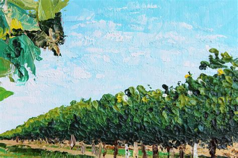 Vineyard Painting Vineyard Oil Vineyard Canvas Original Art By Etsy