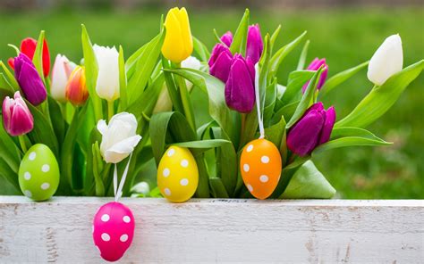 Cute Easter Wallpapers 62 Background Pictures