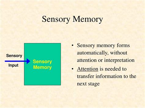 Ppt Three Stages Of Memory Powerpoint Presentation Free Download