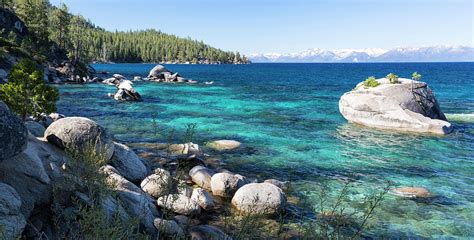 Bonsai Rock Lake Tahoe Panorama Photograph By Picturelake Fine Art