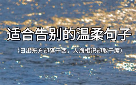 “飞鸟与鱼不同路，从此山水不相逢”‖适合告别的温柔句子 哔哩哔哩