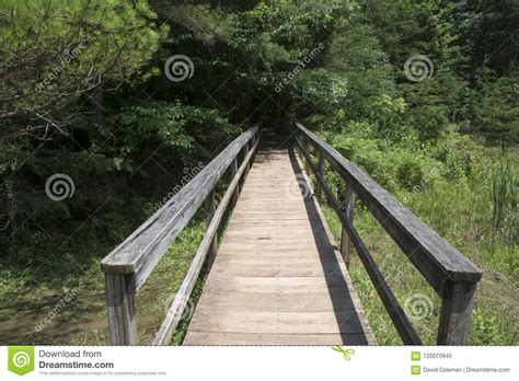 Hiking Bridge Leads To The Forest Stock Image - Image of leads, trees: 120070945