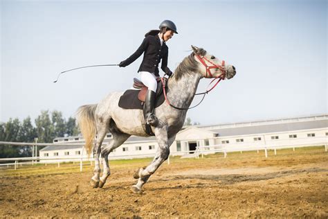 Effective Use Of Whips And Crops In Horseback Riding