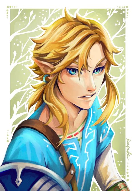Link The Legend Of Zelda Fan Art Fanpop