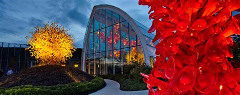 Discover The Captivating Glass Art Of Dale Chihuly
