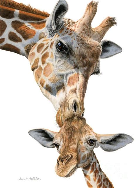 Cotton buds(you can use blending stump or paint brush /makeup brush. Mother And Baby Giraffe by Sarah Batalka | Giraffe art ...