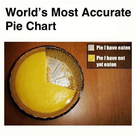 Worlds Most Accurate Pie Chart Rfunnycharts