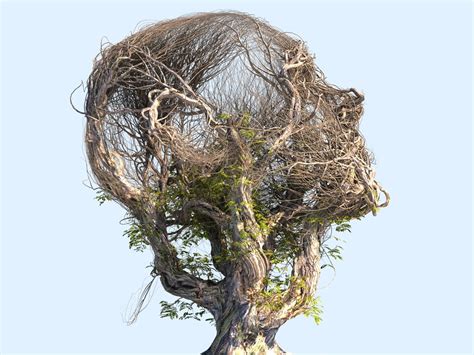 3d Tree Head Hd Turbosquid 1287336