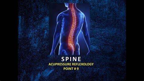 Acupressure Reflexology 9 Spine Youtube