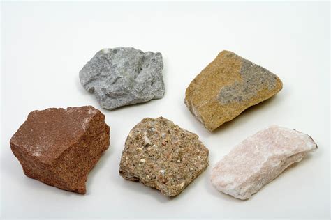 Variety Of Sedimentary Rocks Photograph By Science Stock Photography