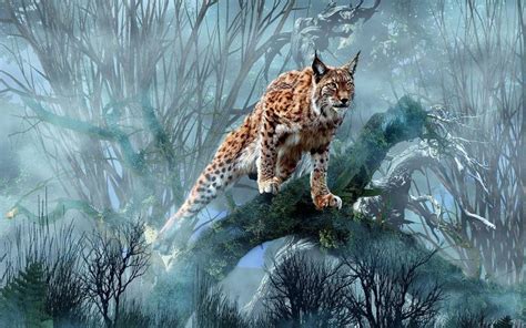 Hd Lynx Hunting Wallpaper Download Free 112762