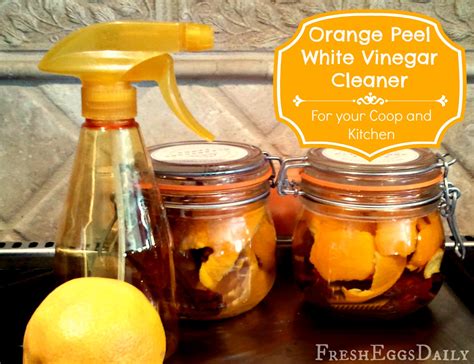 Homemade Orange Peel White Vinegar Coop Cleaner Fresh Eggs Daily®