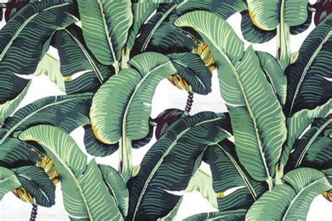 49 Banana Leaves Wallpaper Wallpapersafari