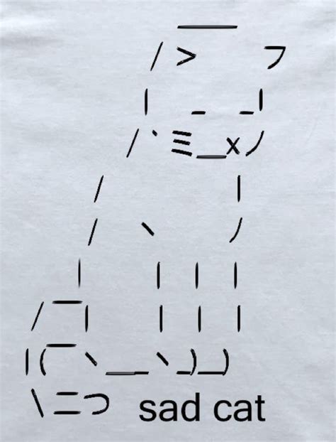 Sad Cat Emoji Ascii Art Cat T Shirt