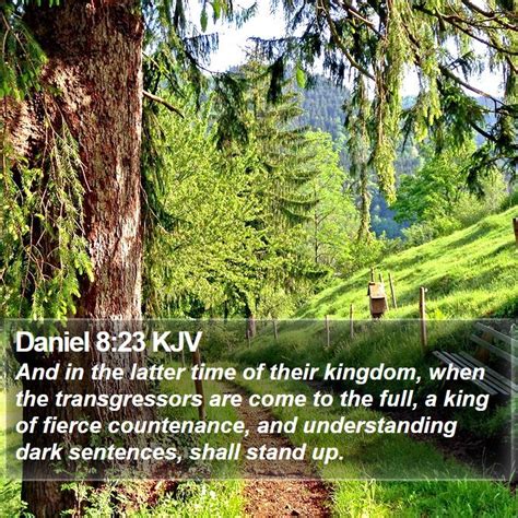 Daniel 823 Kjv And In The Latter Time Of Their Kingdom When The