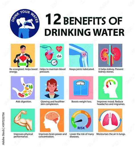 Benefits Of Drinking Water Vector Infographic Important Health