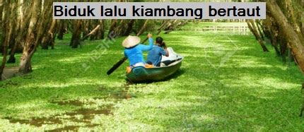 Bagi ahli dan penyokong tegar pas, wibawa menafsir dan menterjemah maksud gerakan islam di malaysia ialah hakmiliknya sahaja. Anim Agro Technology: BIDUK LALU, KIAMBANG BERTAUT