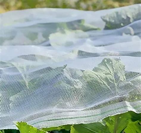 White Insect Safety Net 10 Mts For Agriculture At Rs 40square Meter