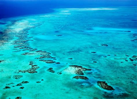 Belize Lighthouse Atoll Reef Adventure Snorkeling And Kayaking Resort