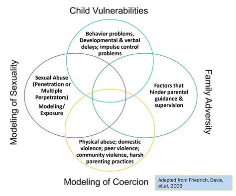 What Causes Problematic Sexual Behaviors Dakota Childrens Advocacy