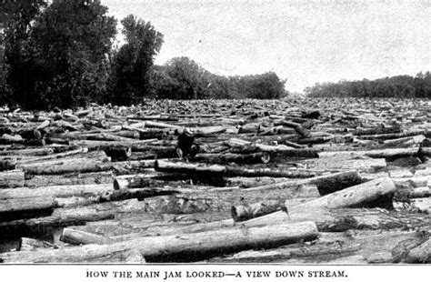 The Great Log Jam Logging