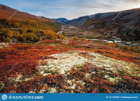 Norwegian Landscape In Autumn Stock Photo Image Of Small Rough