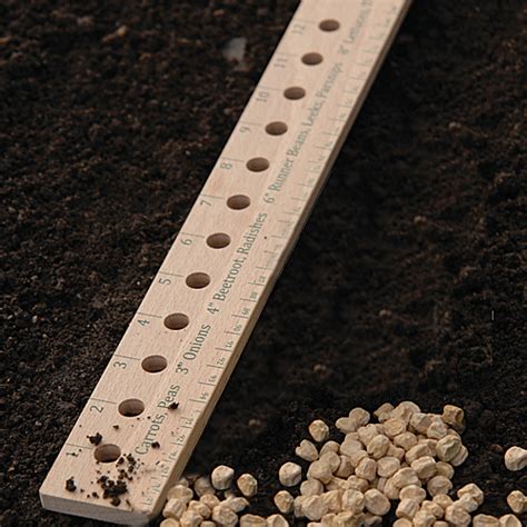 Seed And Plant Spacing Ruler