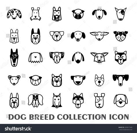 Set Dog Breed Icons Vector Illustration Stock Vector Royalty Free