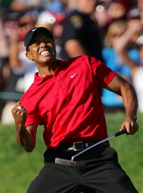 Tiger Woods Famous Fist Pump Tiger Woods Woods Golf Best Golf Clubs