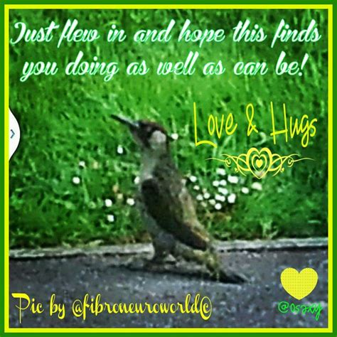 I hope you're *doing* well. Hope you're doing as well as can be! | #osaxy Picsart to ...