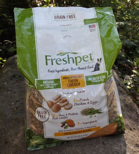 Freshpet Natural Pet Food Available At Target All Things Target