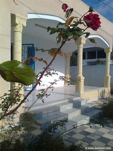 Immobilier Tunisie Location Maison Hergla A Louer Une
