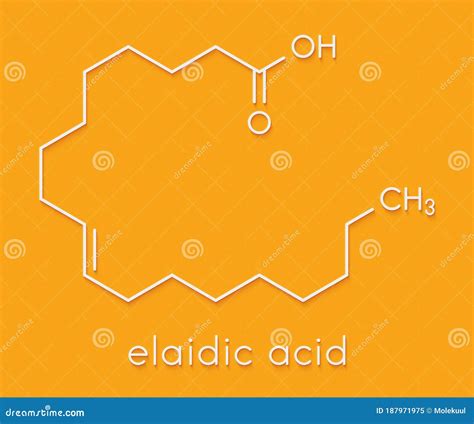 Elaidic Acid Trans Fatty Acid Molecular Model Vector Illustration